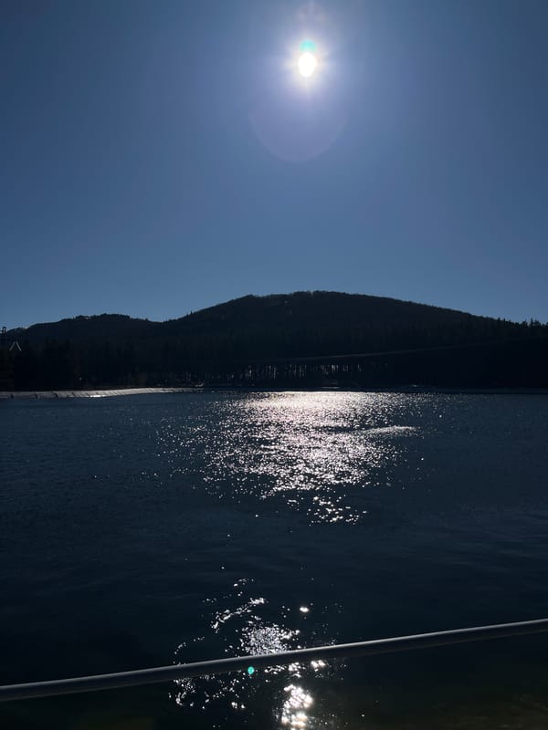 Morning sunlight reflects off water in Barziya, Bulgaria