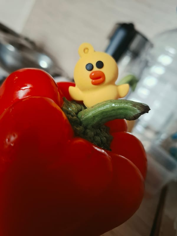 Tiny duck figurine staged across Vladivostok kitchen produce shots