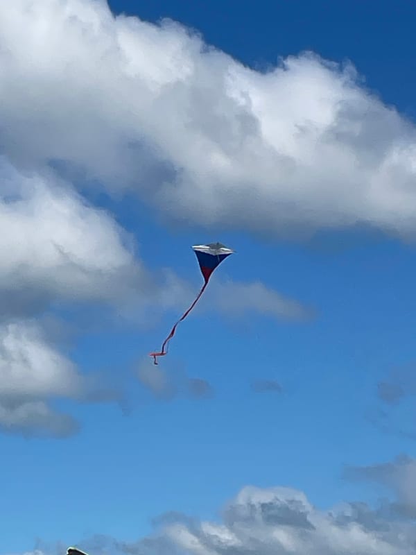 Kite flying on a sunny summer afternoon in rural Russia