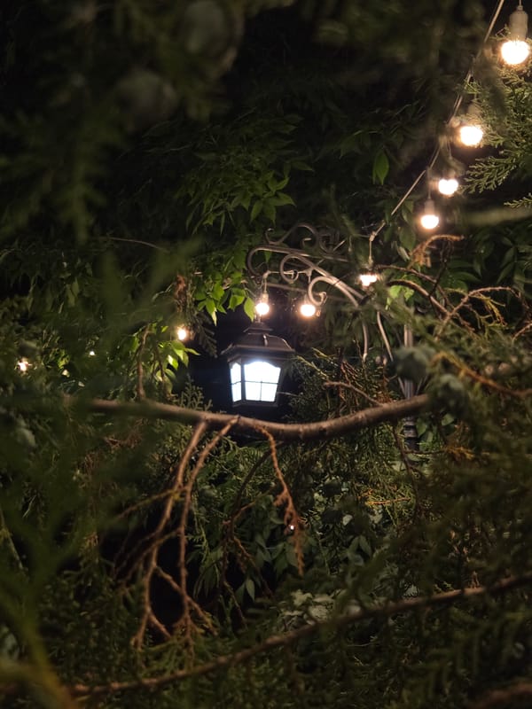 Summer evening around Tiraspol's lit parks and landmarks