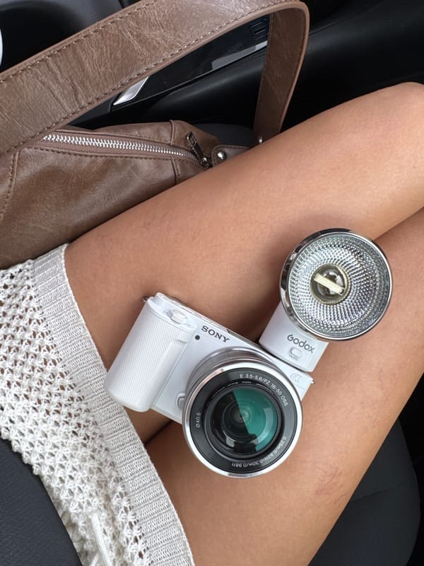 Woman photographed with camera equipment inside Palm Springs vehicle