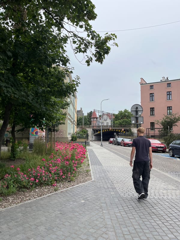 Street scenes and pigeons on a quiet afternoon in Gdańsk