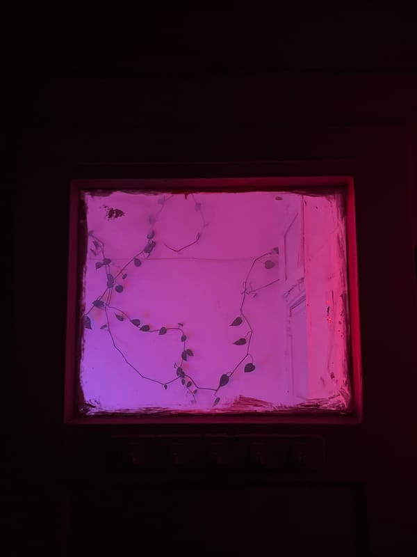 Red-framed window reveals pink-lit white room in Tel Aviv