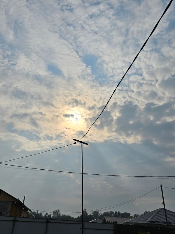 Summer morning in rural Siberia: birds, blooms, and backyard life