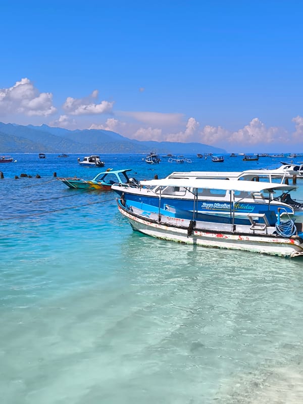 Marine activity documented along Indonesian coastline early morning
