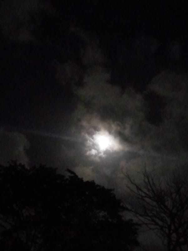 Venezuelan resident documents moonlit evening with selfies and garden scenes