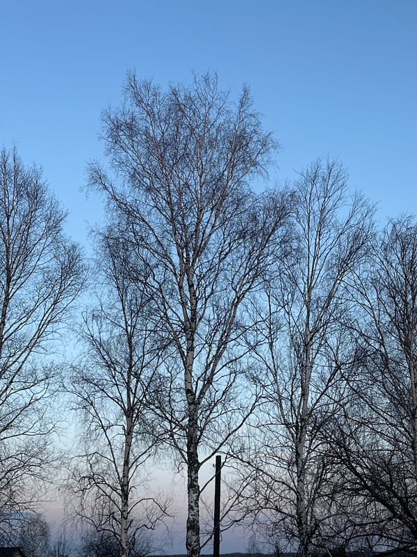 Quiet afternoon scene documented in Kharnavy, Russia