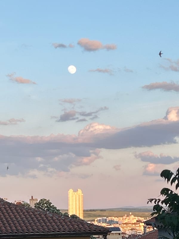 Daytime full moon visible over Burgas with flying birds