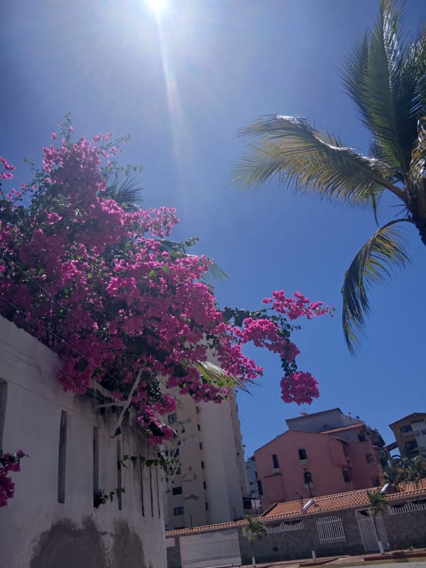 Witness documents afternoon street scenes in Porlamar, Venezuela
