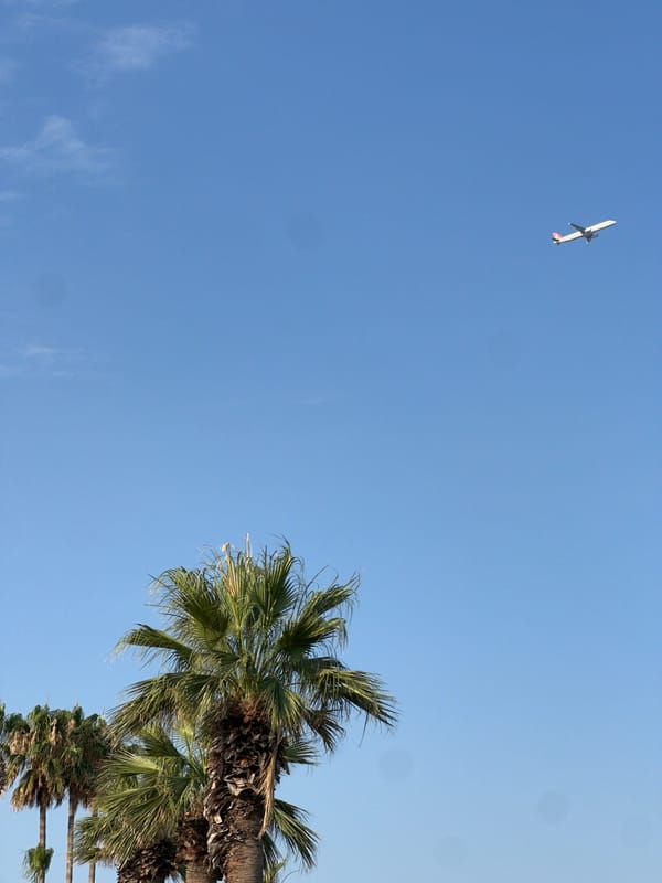 Afternoon at the Antalya waterfront: beach, palms, and paddleboards