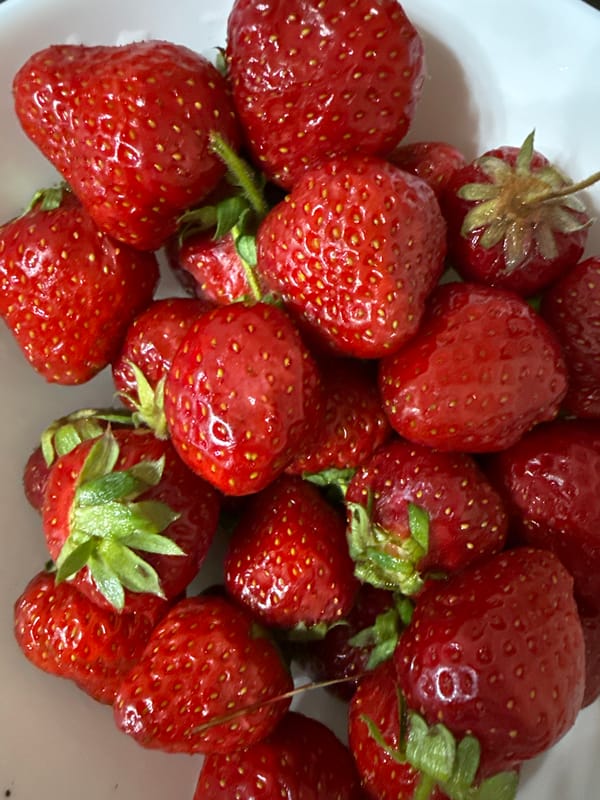 Tbilisi resident captures strawberries and cloudy skies Sunday afternoon