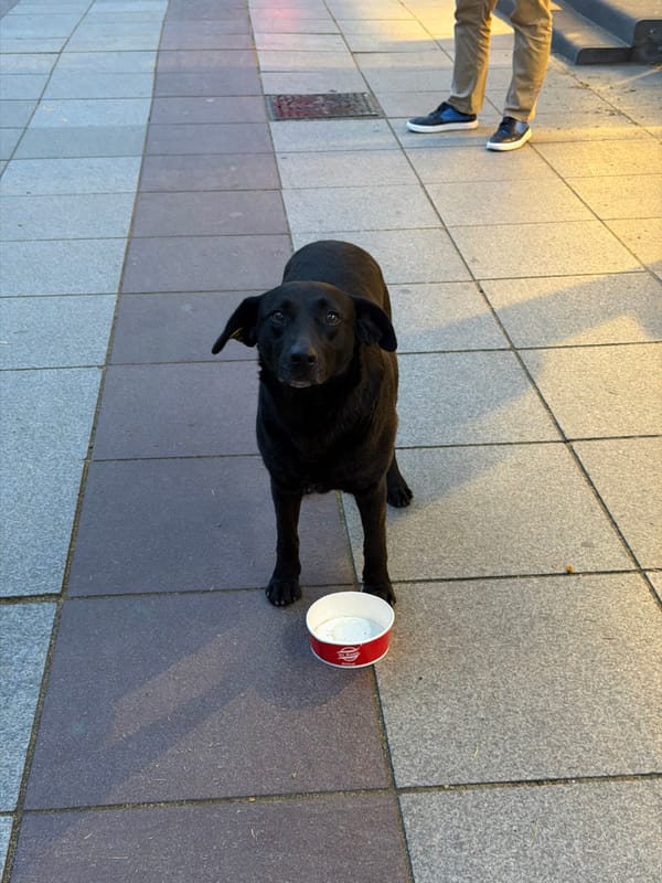 Blue sky with clouds observed over Tbilisi, Georgia