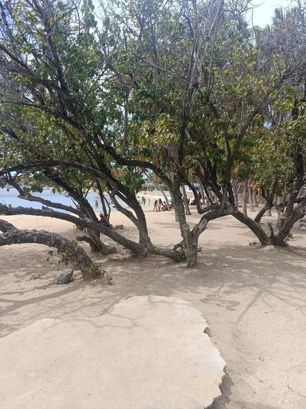 Afternoon coastal scenes documented in Juan Griego, Venezuela waterfront