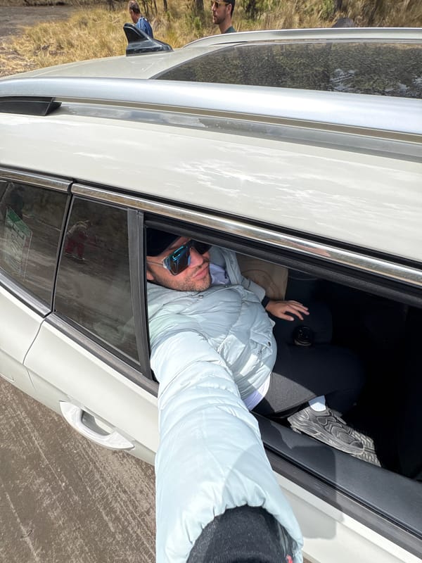 Traveler with dogs stops near Popocatépetl volcano for phone call