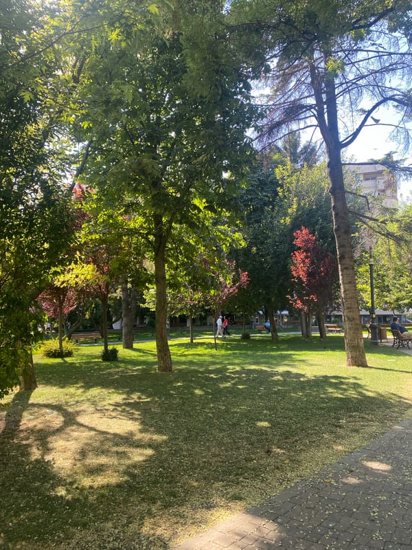 Sunny afternoon stroll through a leafy Iași park