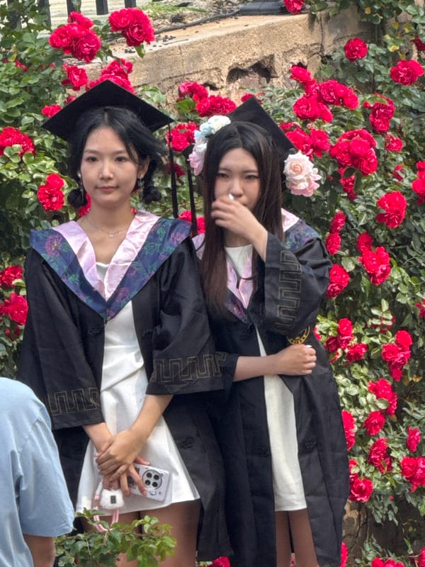 Graduation photoshoots amid red roses captured in Zhongtun, China