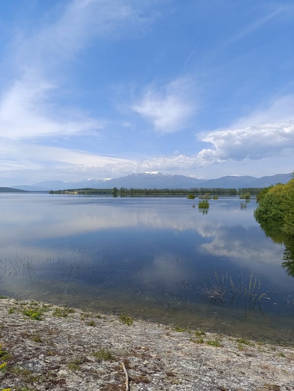 Lakeside nature walk documented over 11 minutes, one unusual sighting