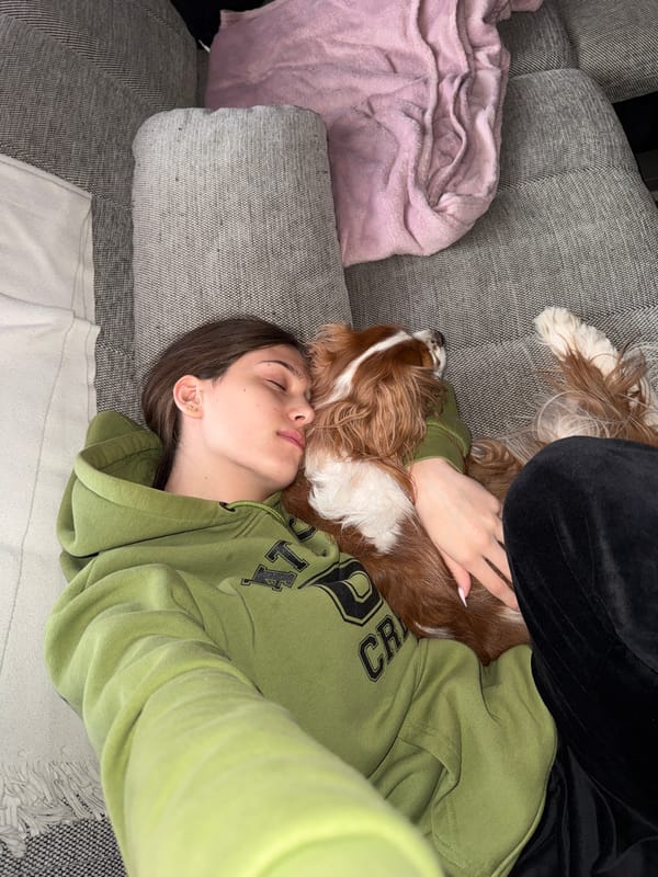 Quiet afternoon moments with pets and selfies in Sofia
