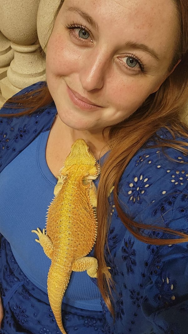 Bearded dragon hangs out up close in Altamonte Springs