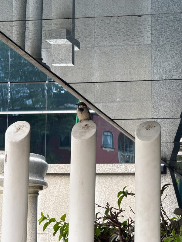 Mexico City resident captures everyday urban moments during evening hours