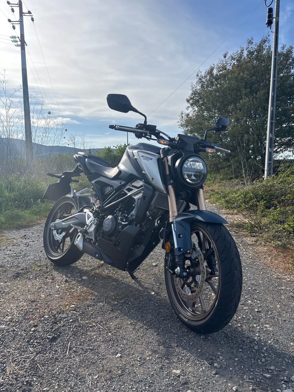 Motorcycle journey documented through rural vineyard countryside