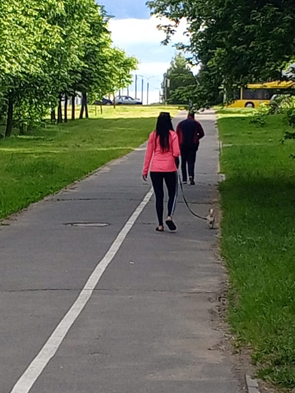 Afternoon pedestrians documented walking through public recreational spaces