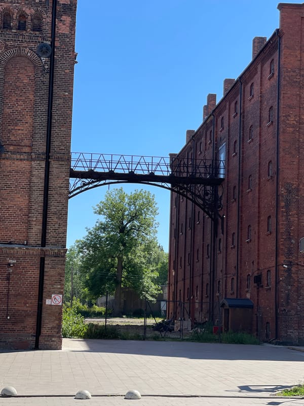 Afternoon cultural activities documented at Kaliningrad arts complex