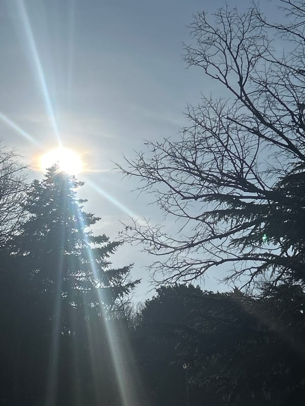 Bright sunny day captured in Varna, Bulgaria