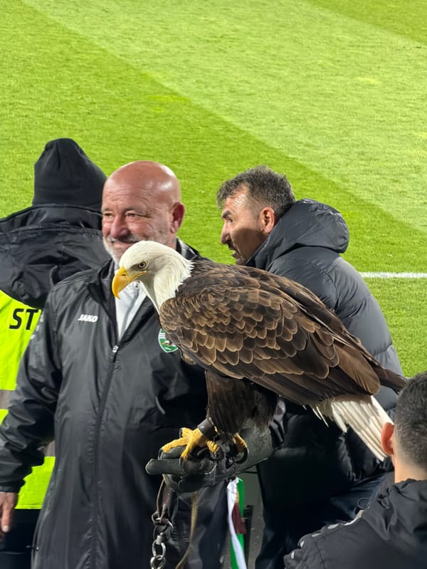 Football match with eagle display at Ludogorets Arena, Bulgaria