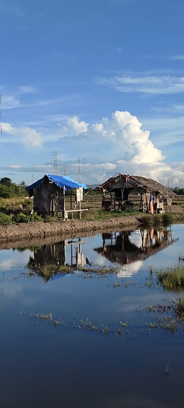Morning light over Lhokseumawe's wetlands, paths, and outskirts