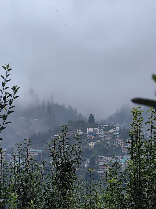 Manali blanketed in monsoon mist on a gray July afternoon