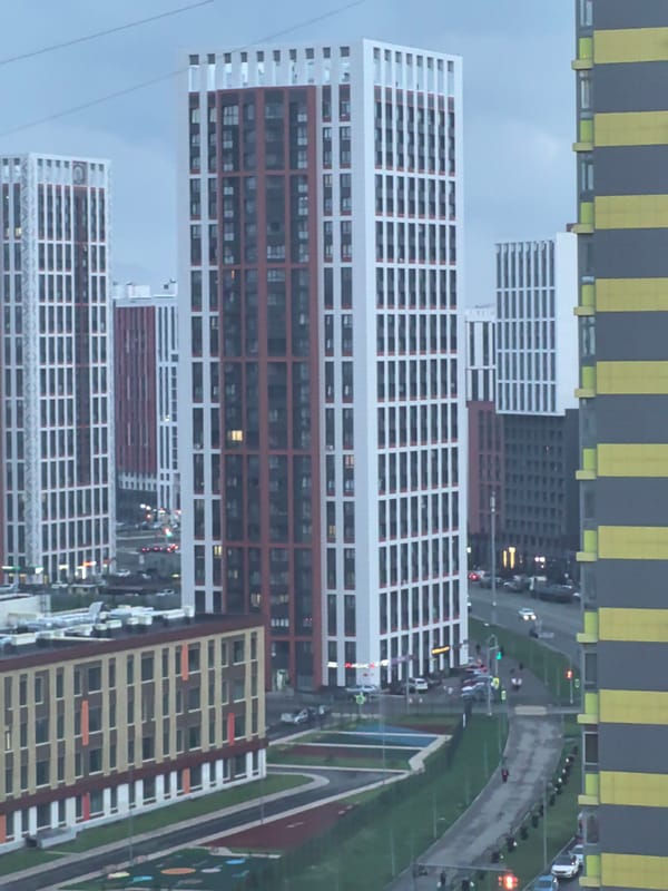 Ufa apartment life: city views and a grey cat at home