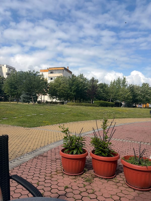 Morning coffee at a Vratsa park café, June 2026