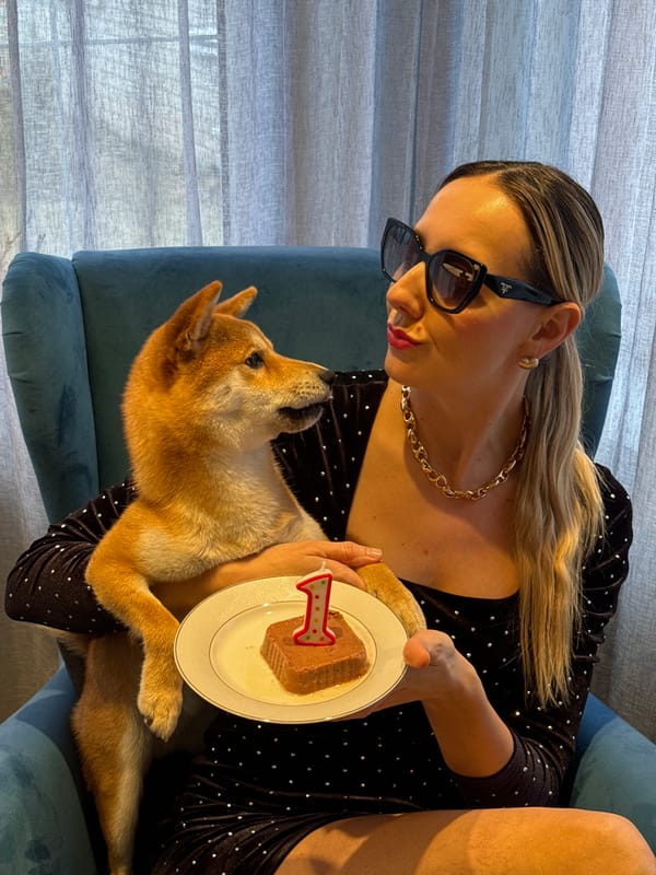 Woman celebrates first birthday with Shiba Inu puppy in Latvia