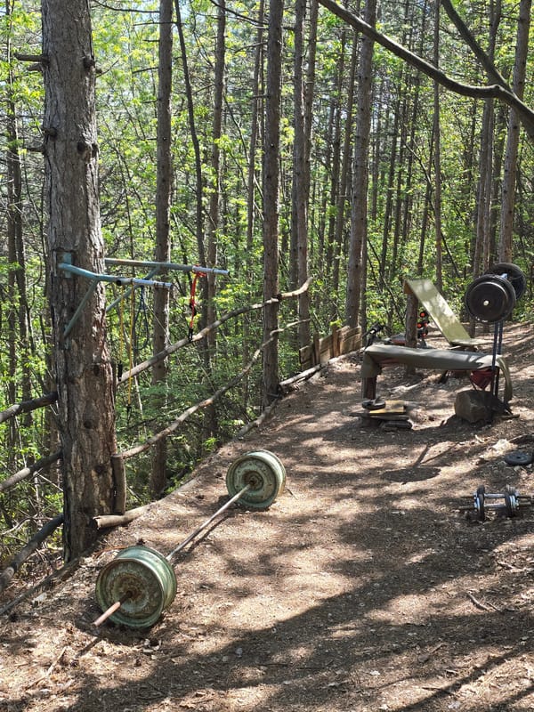Forest gym discovered with homemade equipment in Bulgarian woods