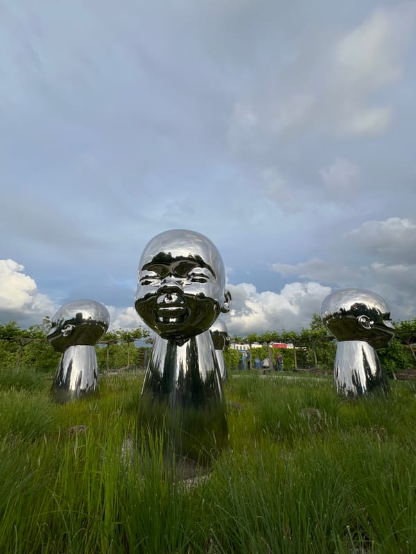 Reflective head sculptures documented in Krasnodar park installation