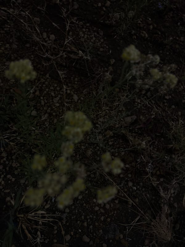 Nighttime urban walk documented in Puebla, Mexico