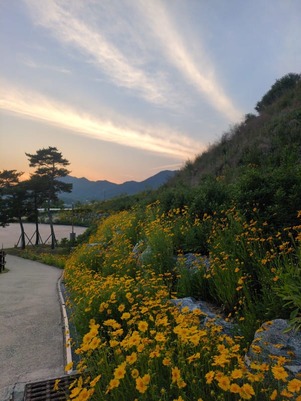Evening landscapes and outdoor scenes documented in Iwon, South Korea