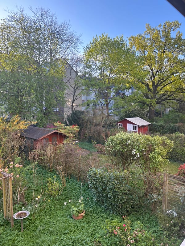 Morning garden scene captured in Karlsruhe, Germany