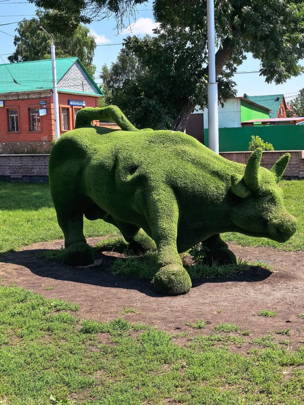 Quiet summer morning in a Sterlitamak park