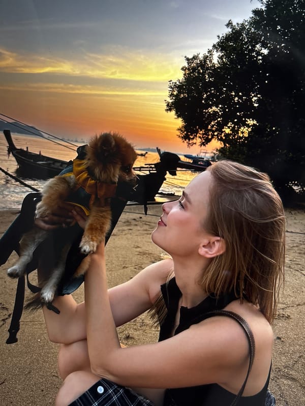 Pomeranian steals the show across a Chalong morning