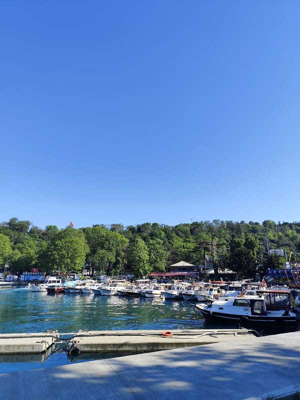 Routine marina activity observed in Sarıyer, Turkey under sunny skies