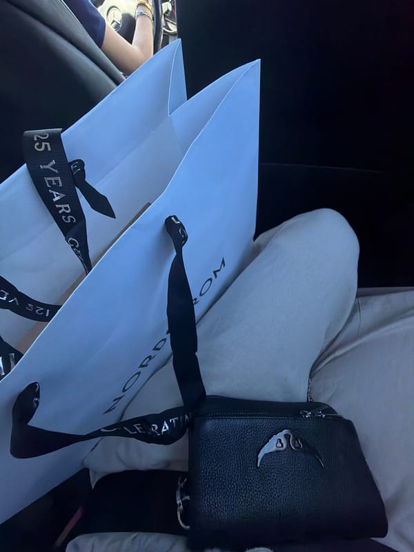 Austin shopper spotted with commemorative Nordstrom bags in vehicle