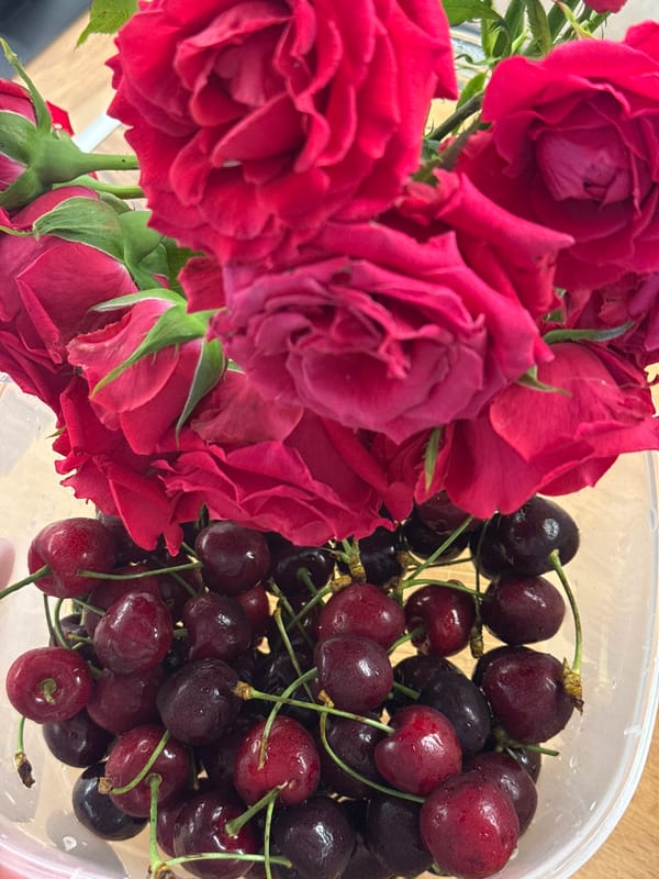 Fresh cherries and red roses arranged on a wooden surface