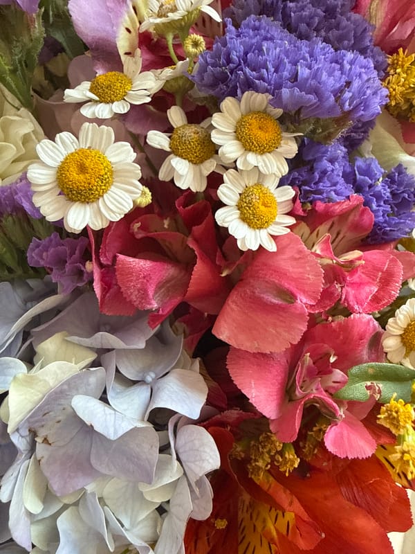 Mixed flower bouquet photographed up close in Sochi