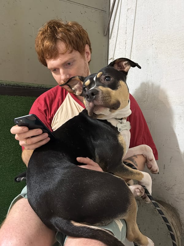 Tel-Aviv residents captured in everyday moments with pets, food