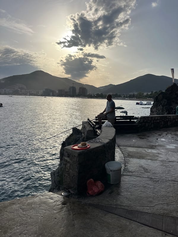 Lazy afternoon on the Budva waterfront, boats and cats included