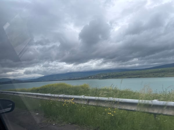 Moving vehicle captures lakeside landscape views near Tbilisi