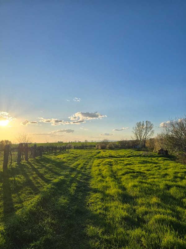 Rural landscape documented in Stara Reka, Bulgaria