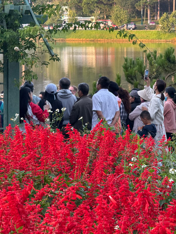 Evening scenes around Xuan Huong Lake in Da Lat